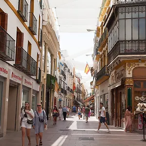  Apartamento Gotoseville Sierpes